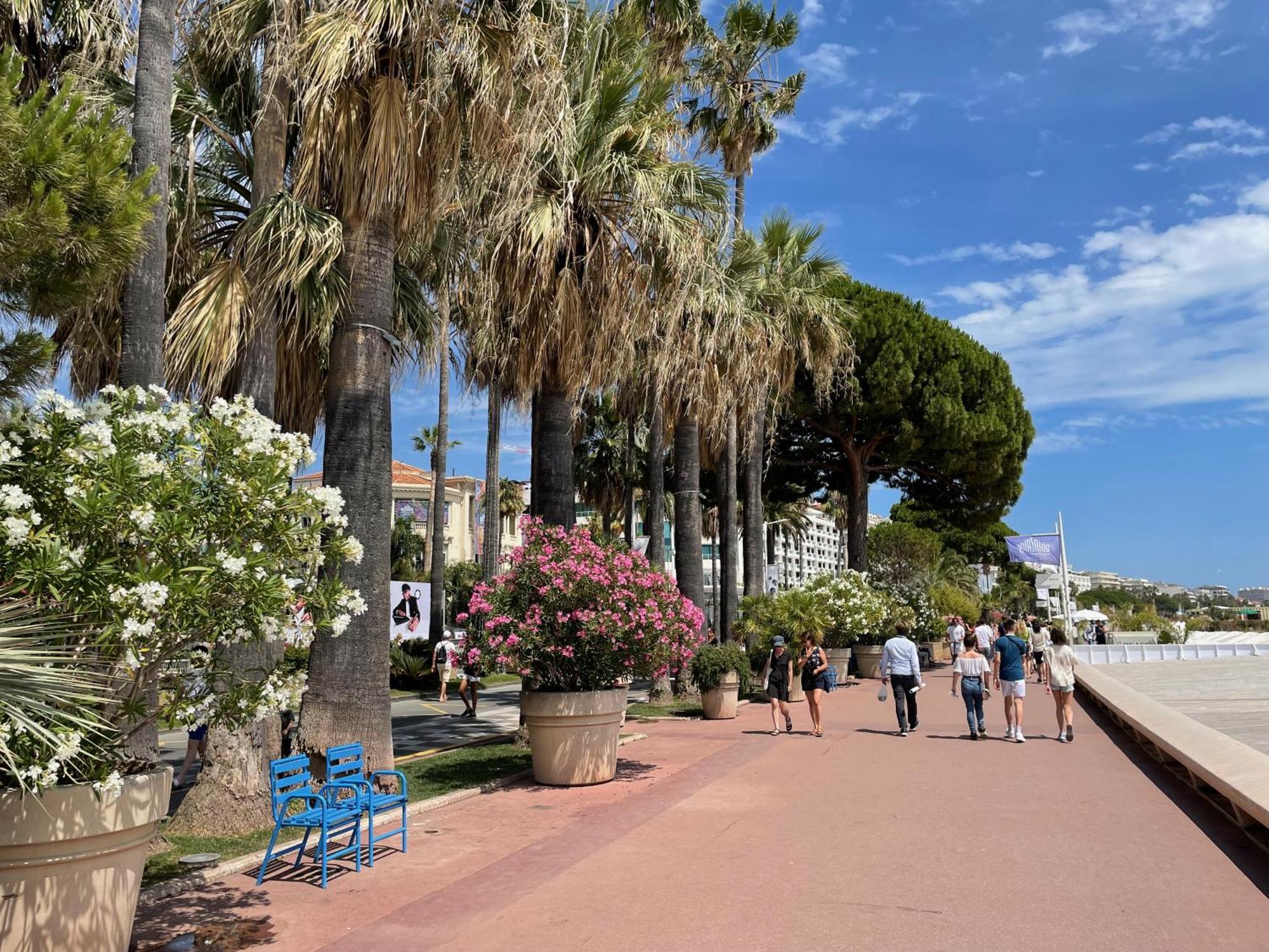 Beautiful Apartment Cannes Center Terrace Parking מראה חיצוני תמונה