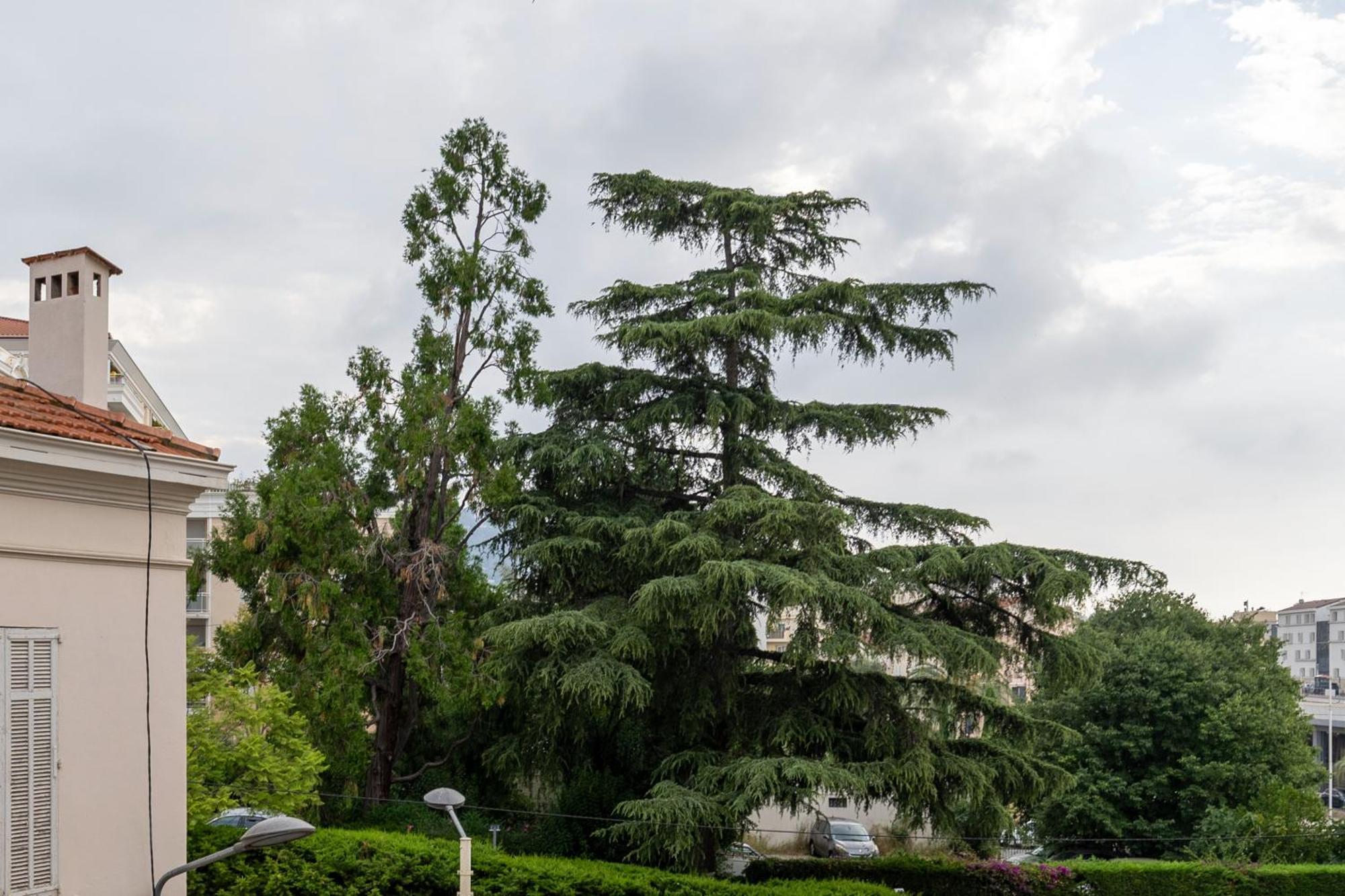 Beautiful Apartment Cannes Center Terrace Parking מראה חיצוני תמונה